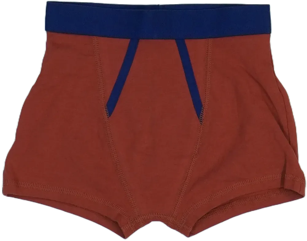 Barna George Boxer EU 122 / UK 7 év / US 7 év/M