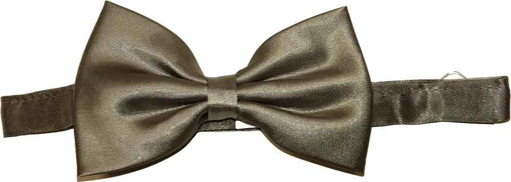 Ezüst Egyéb Csokornyakkendő Egyméret