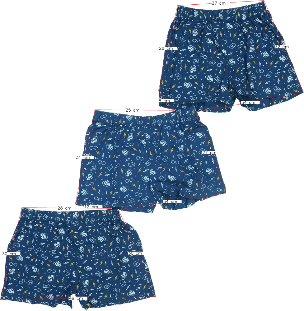 Blue Harry Potter Multipack - Boxers / Briefs EU 164 / UK 14 years / US 14 years/XL