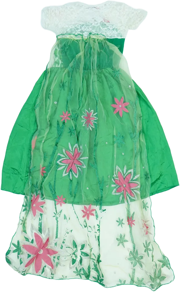 Zöld Egyéb Jelmez EU 128 / UK 8 év / US 8 év/M