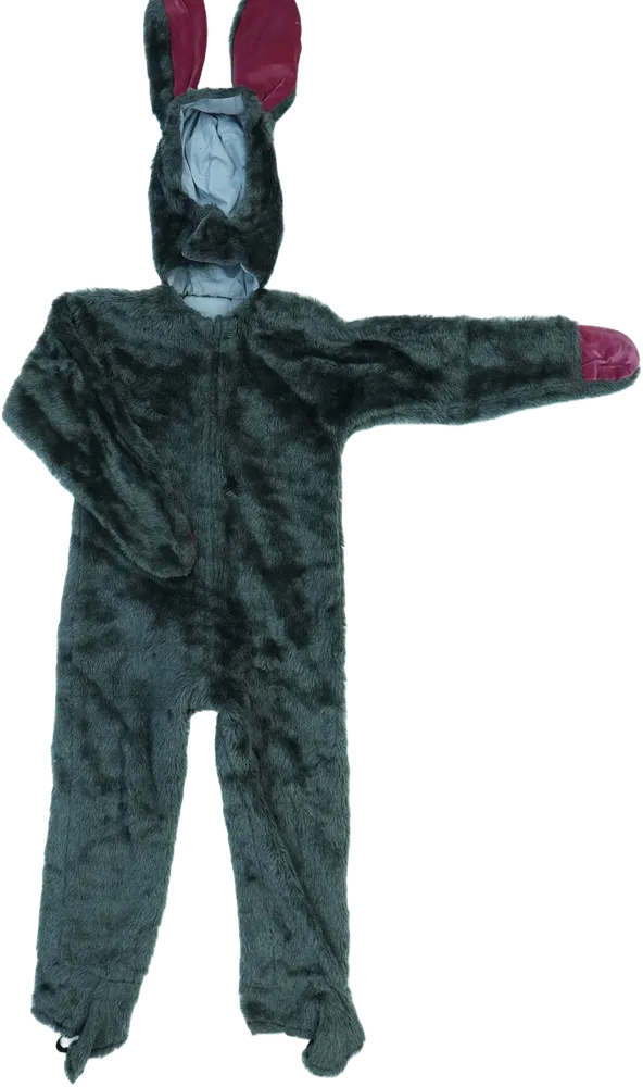 Szürke Egyéb Jelmez EU 128 / UK 8 év / US 8 év/M