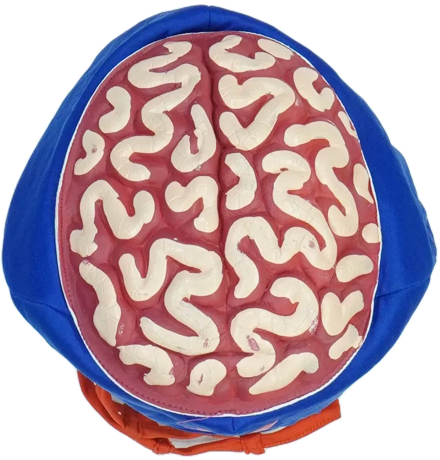 Kék Egyéb Jelmez EU 146 / UK 11 év / US 12 év/L