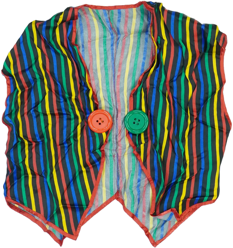 Többszínű Egyéb Jelmez EU 164 / UK 14 év / US 14 év/XL