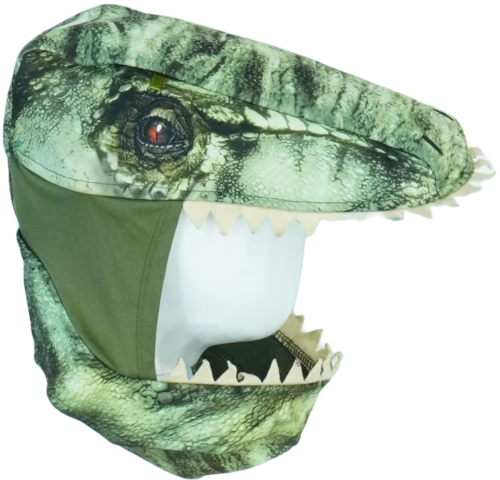 Zöld Egyéb Jelmez EU 152 / UK 12 év / US 12 év/L