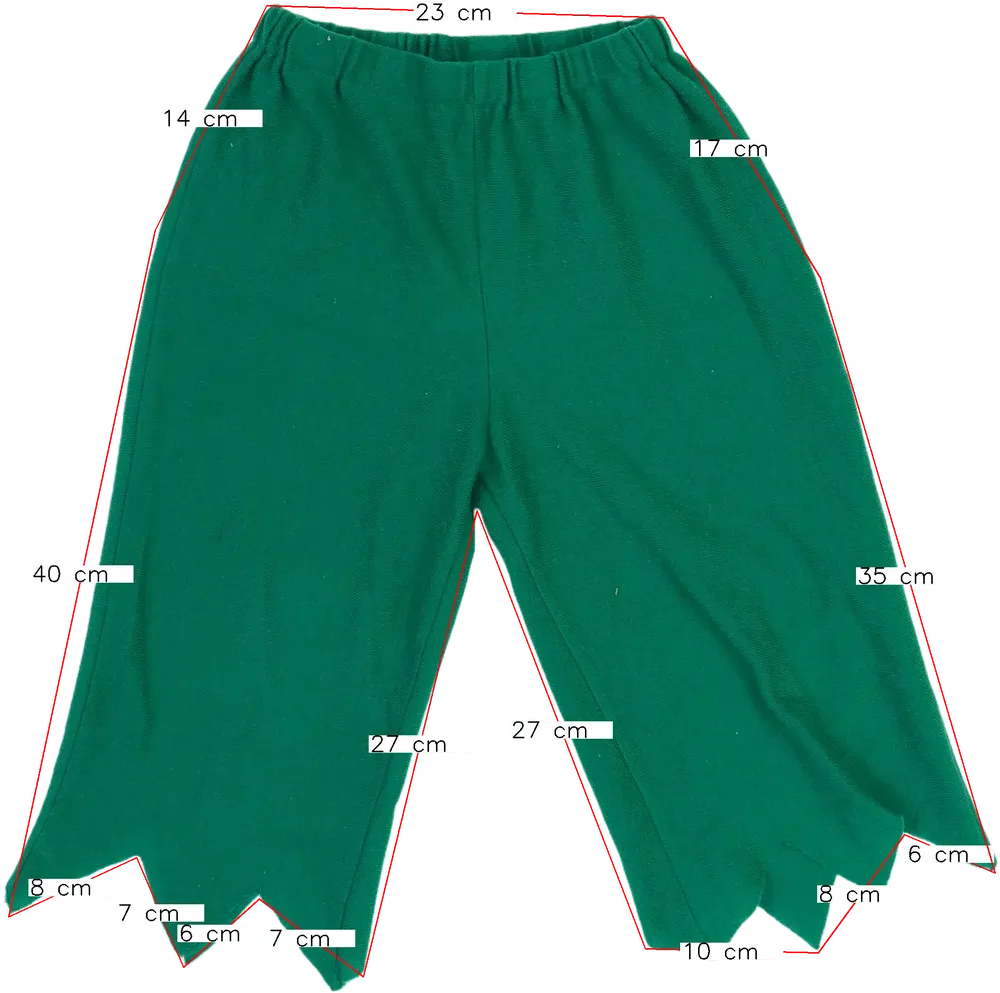 Zöld Egyéb Jelmez EU 128 / UK 8 év / US 8 év/M