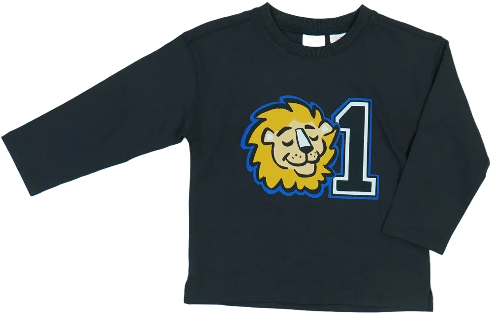 Szürke Zara Hosszú ujjú felső EU 98 / UK 3 év / US 3T