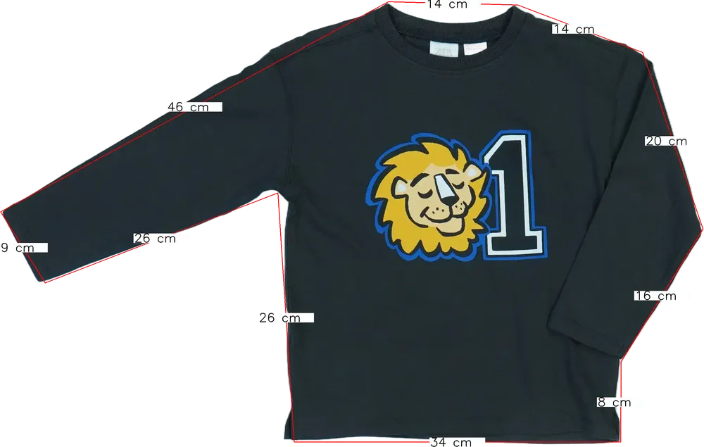 Szürke Zara Hosszú ujjú felső EU 110 / UK 5 év / US 5 év/XS