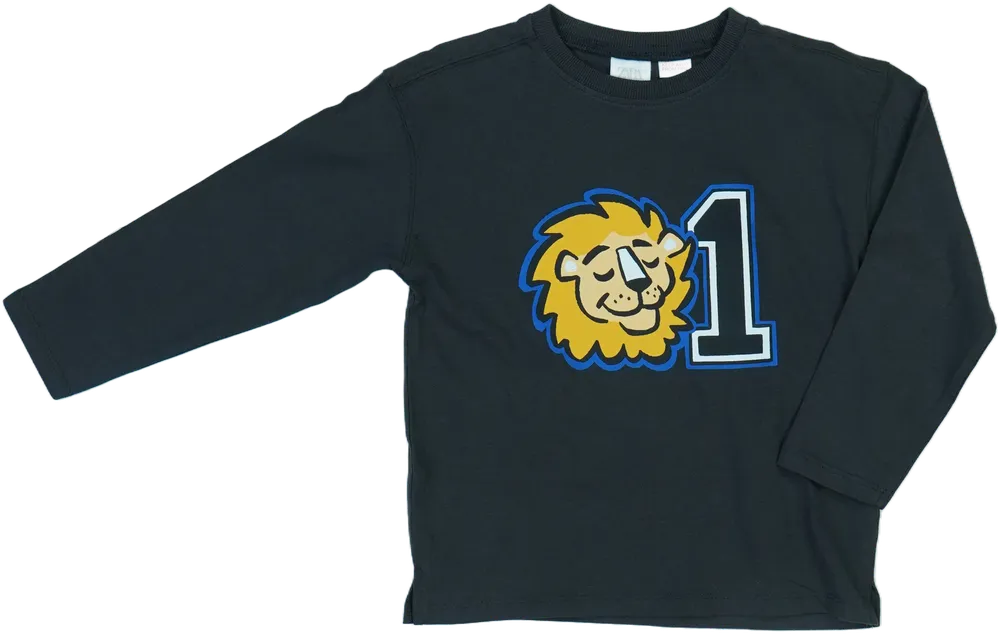 Szürke Zara Hosszú ujjú felső EU 110 / UK 5 év / US 5 év/XS