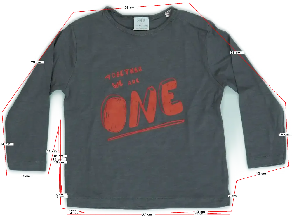 Szürke Zara Hosszú ujjú felső EU 110 / UK 5 év / US 5 év/XS