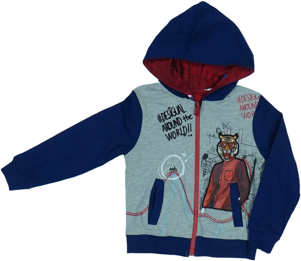 Többszínű Desigual Kapucnis pulóver EU 104 / UK 4 év / US 4T/XS