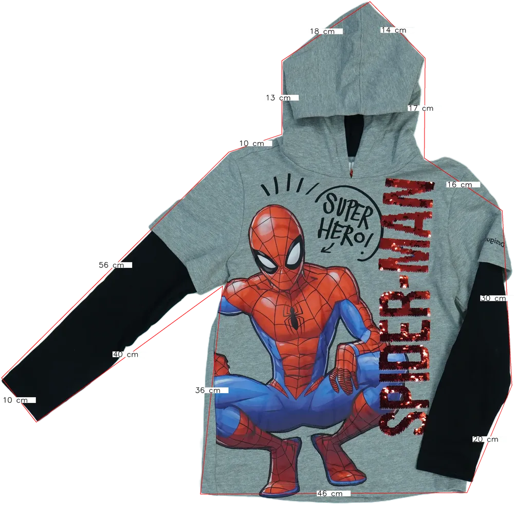 Szürke Desigual Kapucnis pulóver EU 164 / UK 14 év / US 14 év/XL