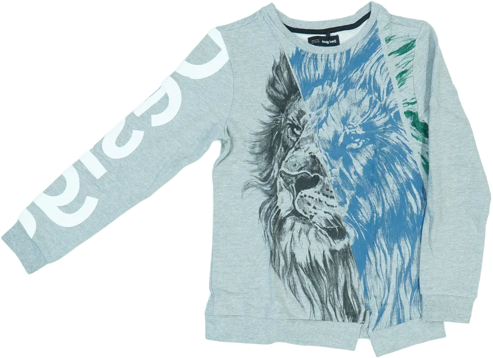 Szürke Desigual Pulóver EU 152 / UK 12 év / US 12 év/L